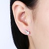 Exquisite 925 Sterling Silver Cubic Zirconia Stud Earrings EJEW-BB20054-2