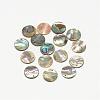 Paua Shell Charms SSHEL-R041-37-1