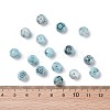 Mixed Style Glass Beads GLAA-JP0001-04C-2