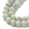 Natural Myanmar Jadeite Beads Strands G-L595-C01-01A-4