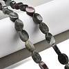 Natural Bloodstone Beads Strands G-P559-B17-01-2