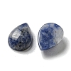 Natural Blue Spot Jasper Cabochons G-Q173-02B-14-2