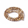 Natural Fossil Coral Beads Strands G-F648-01-B-2