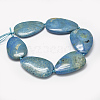Natural Fossil Coral Beads Strands G-P319-05B-2