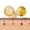 Handmade Lampwork Beads LAMP-T023-02A-04-3