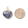 Natural Sodalite & Freshwater Pearl Pendants PALLOY-JF01661-03-4