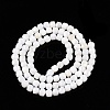 Natural White Shell Beads Strands SSHEL-N038-60-2