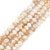 Natural Freshwater Shell Beads Strands SHEL-G013-03A-1