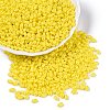 Baking Paint Glass Seed Beads SEED-T006-03C-3