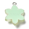 Translucent Resin Pendants RESI-L038-02P-01-2