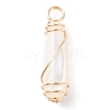 Natural Trochid Shell Pendants with Golden Tone Copper Wire Wrapped PALLOY-JF01297-02-1