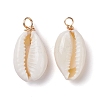 Natural Cowrie Shell Pendants PALLOY-JF00940-01-2