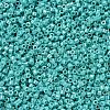 MIYUKI Delica Beads SEED-MY11-DB0166-2