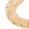 Natural Citrine Beads Strands G-I289-02-3