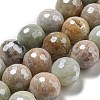 Natural Amazonite Beads Strands G-O164-02-12mm-2
