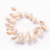 Natural Cowrie Shell Beads Strands X-BSHE-L036-32E-03-3