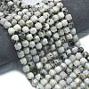 Natural Rainbow Moonstone Beads Strands G-K389-A75-01-2