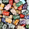 Natural Mixed Stone Carved Frog with Eye Figurines PW-WG73755-01-1