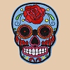 Skull Computerized Embroidery Cloth Sew on Patches PW-WG37707-05-1