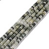 Natural Green Line Jaspe Beads Strands G-P468-12-1