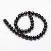 Natural Obsidian Beads Strands G-D838-14mm-04-2