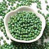 Baking Paint Glass Seed Beads X1-SEED-A032-02A-05-2