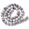 Natural Purple Turquoise Beads Strands G-L595-C04-02-3