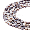 CHGCRAFT 5 Strands Natural Freshwater Shell Beads Strands SHEL-CA0001-012-1