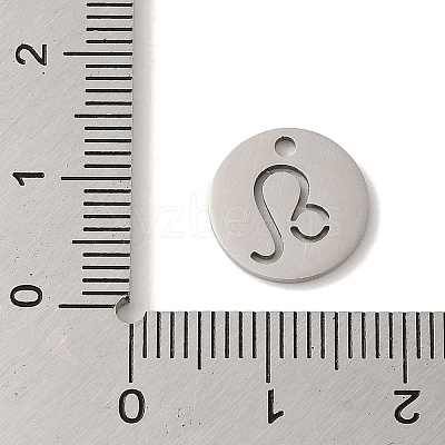 Non-Tarnish 201 Stainless Steel Charms STAS-E217-10P-10-1