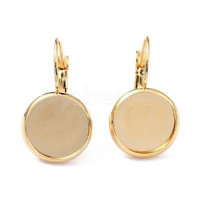 304 Stainless Steel Leverback Earring Settings STAS-F191-03G-6mm-1