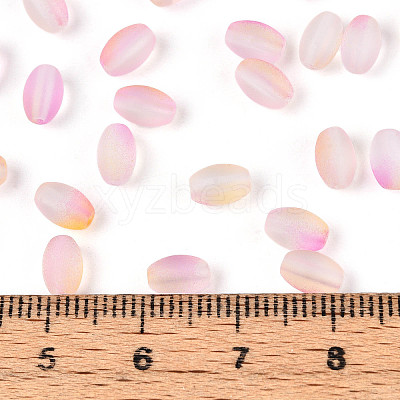 Frosted Glass Seed Beads SEED-N008-05B-1
