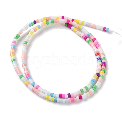 Handmade Lampwork Beads Strands LAMP-L078-008F-1