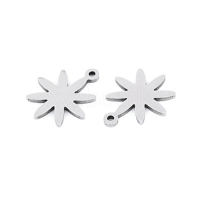 304 Stainless Steel Charms STAS-P433-03P-1