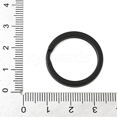 Iron Split Rings IFIN-H065-02B-EB-1