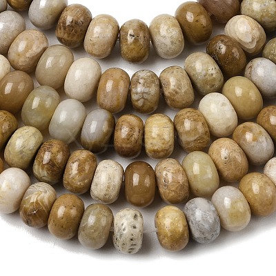 Natural Fossil Coral Beads Strands G-A280-A08-01-1