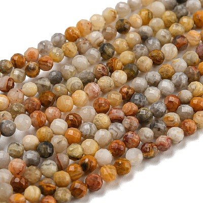 Natural Crazy Lace Agate Beads Strands G-K020-3mm-29-1