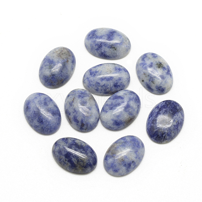 Natural Blue Spot Jasper Cabochons G-R415-13x18-45-1