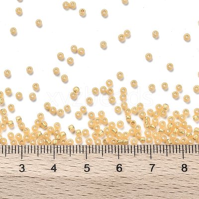 TOHO 11/0 Round Beads SEED-JPTR11-2110-1