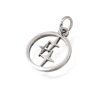 304 Stainless Steel Charms SA-CBA4CE0-13P-1