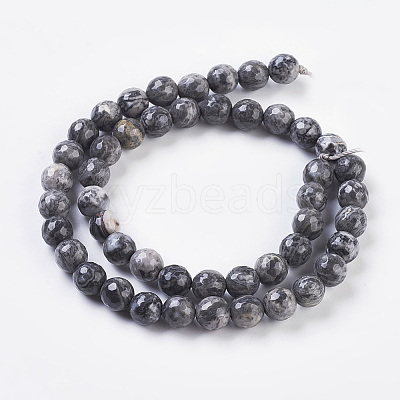 Natural Map Stone/Picasso Stone/Picasso Jasper Strands G-G099-8mm-27-1