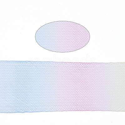 Mesh Ribbon PNT-S030-001D-1
