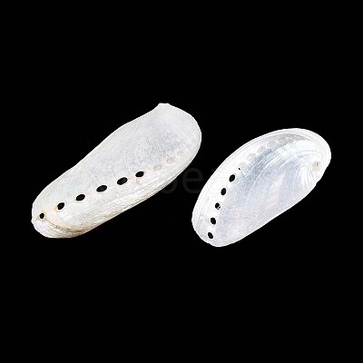 Abalone Shells Ornaments SHEL-T020-54-1