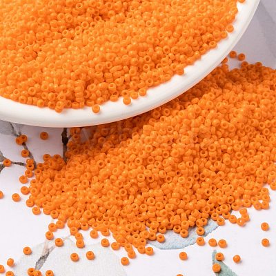 MIYUKI Round Rocailles Beads X-SEED-G009-RR0405-1