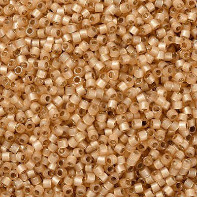MIYUKI Delica Beads SEED-X0054-DB2171-1