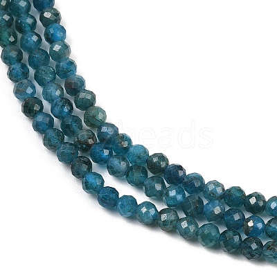 Natural Apatite Beads Strands G-E411-36-3mm-02-1