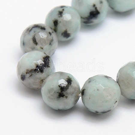 Natural Sesame Jasper/Kiwi Jasper Beads Strands G-L147-12mm-01-1