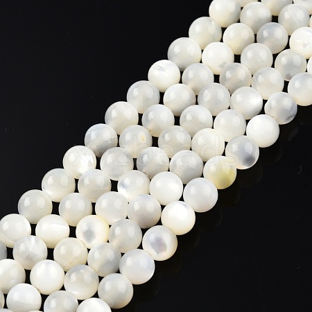 Natural White Shell Bead Strands SSHEL-N003-144D-01-1