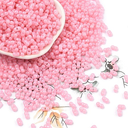 Baking Paint Glass Seed Beads SEED-L011-09A-26-1