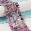 Natural Amethyst Beads Strands G-M403-A13-2