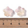 Baking Paint Glass Beads LS-GLAA-S202-10H-3